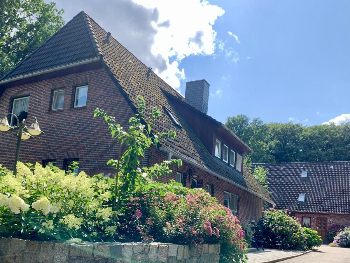 Apartment Hillmer Bispingen Exterior photo